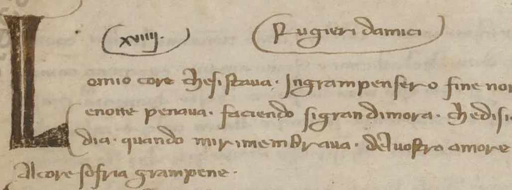 Ritratto di Ruggero de Amicis